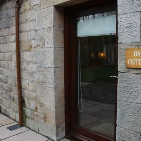 Oak Tatil Evi *